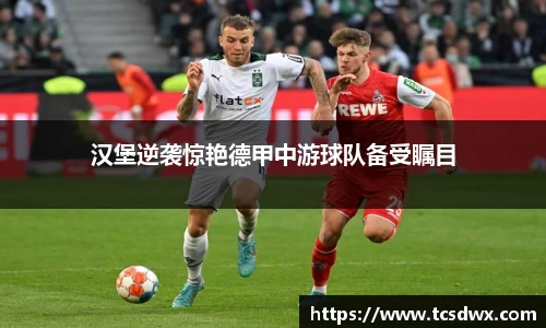 汉堡逆袭惊艳德甲中游球队备受瞩目