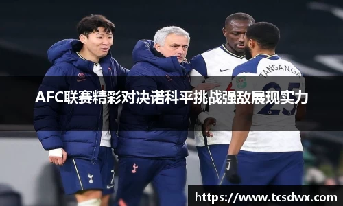 AFC联赛精彩对决诺科平挑战强敌展现实力