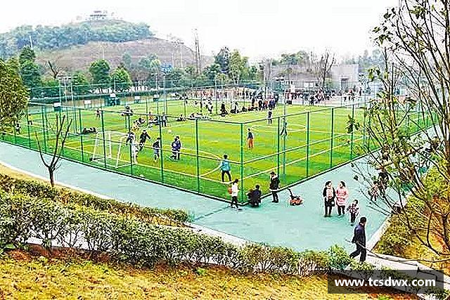 介绍im电竞最新地址